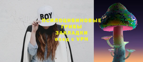первитин Дмитров
