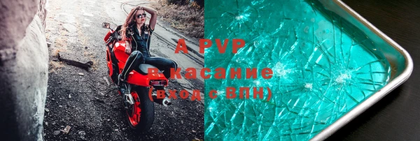 молекула духа Елизово