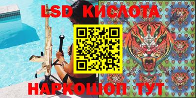 крисы Аргун