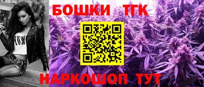 крисы Аргун