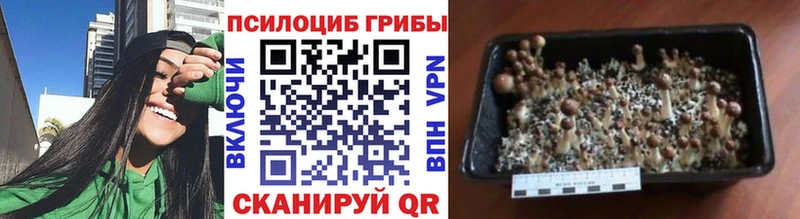 Псилоцибиновые грибы MAGIC MUSHROOMS купить закладку ОМГ ОМГ онион Донецк