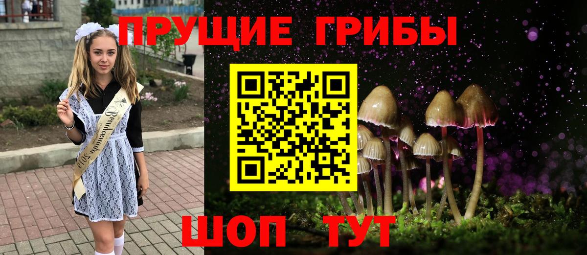 Галлюциногенные грибы MAGIC MUSHROOMS  Вход с VPN  Донецк  где найти   Псилоцибиновые грибы Magic Shrooms 